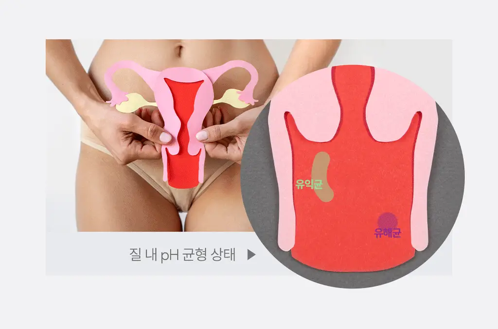 [올영 단독 증정기획][의료기기] 인클리어/렛츠인클리어 질세정기 6종 택1 상세페이지 13